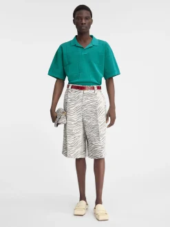 Le polo Bacino